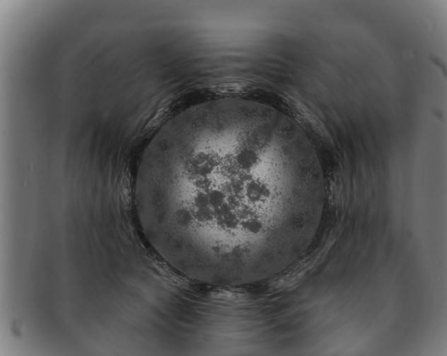 X0000091720561200708311141