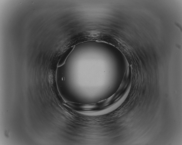 X0000091720562200708311141