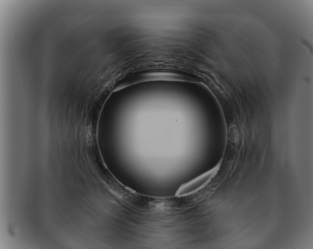 X0000091720564200708311141