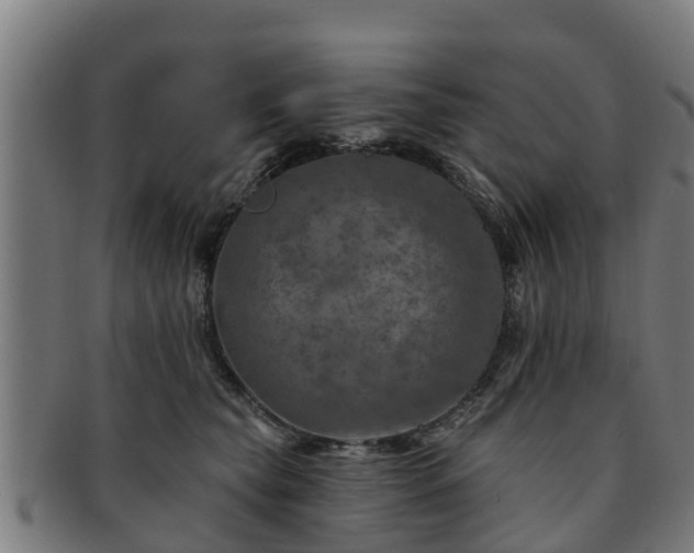 X0000091720565200708311141