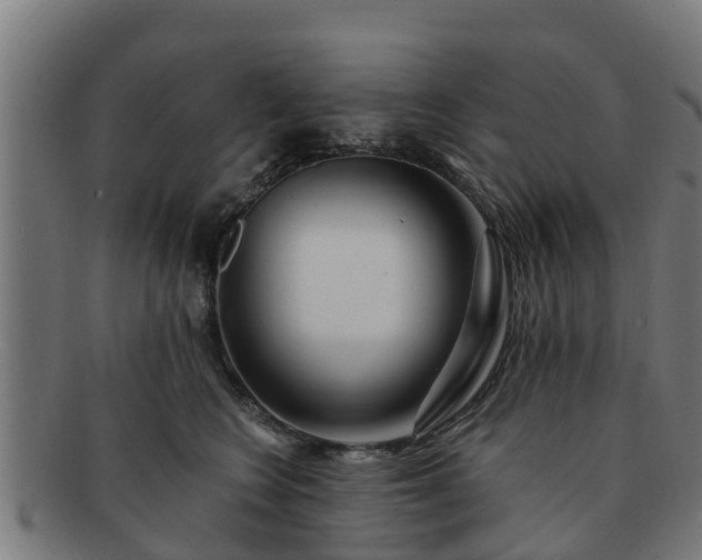 X0000091720566200708311141