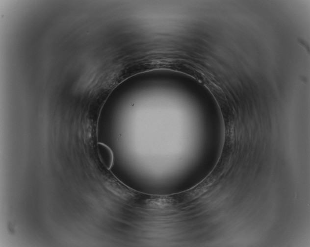 X0000091720567200708311141