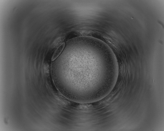 X0000091720571200708311141