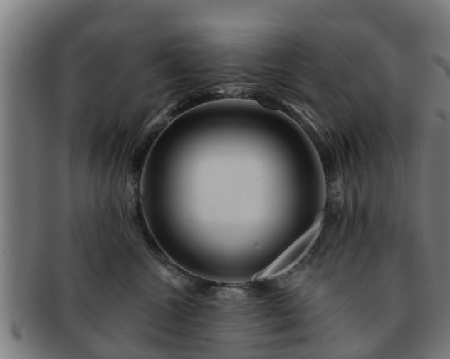 X0000091720572200708311141