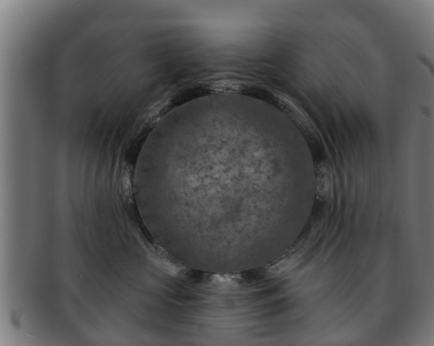 X0000091720573200708311141