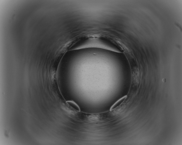 X0000091720574200708311141