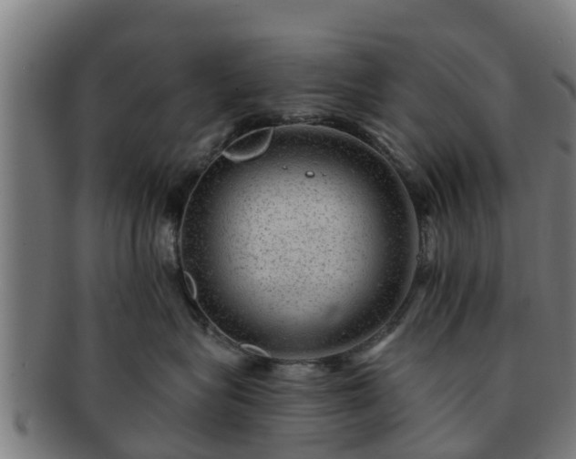 X0000091720575200708311141