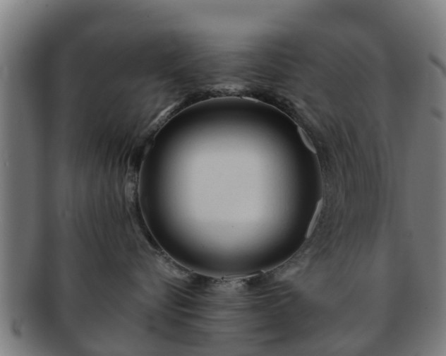 X0000091720576200708311141