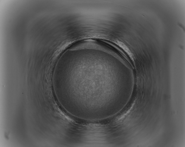 X0000091720577200708311140