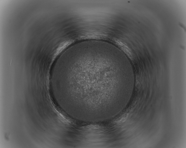 X0000091720578200708311140