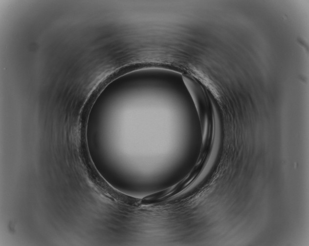 X0000091720580200708311140