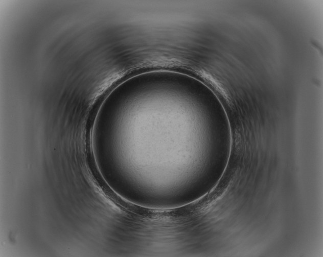 X0000091720581200708311140