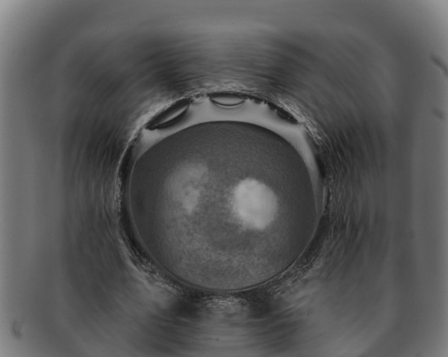 X0000091720583200708311140