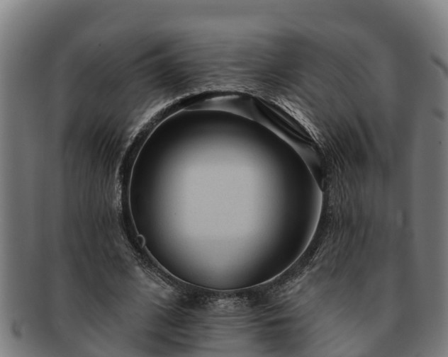 X0000091720584200708311140