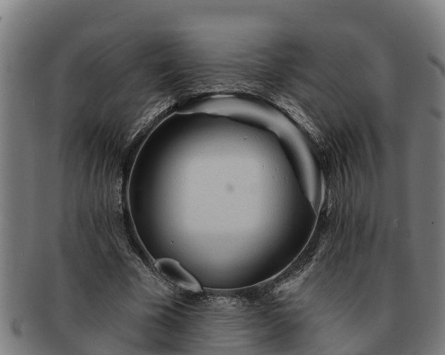 X0000091720585200708311140