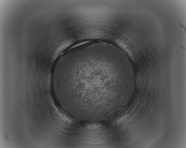 X0000091720586200708311140