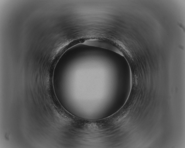 X0000091720588200708311140