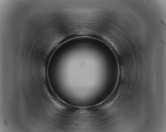 X0000091720589200708311140