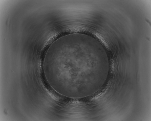 X0000091720590200708311140