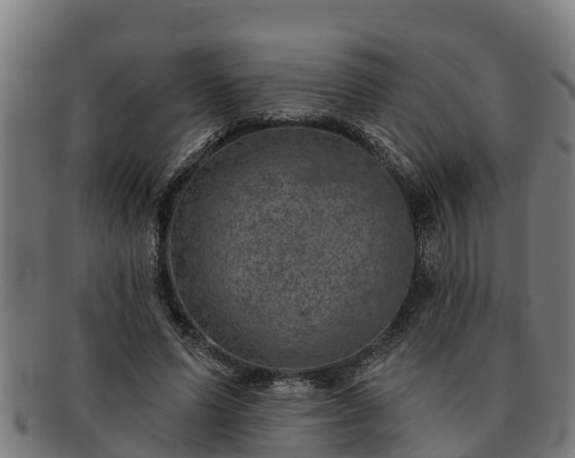 X0000091720591200708311140