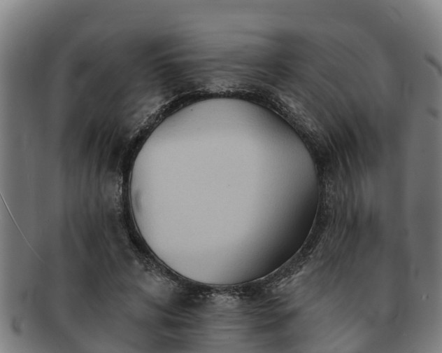 X0000091720592200708311140