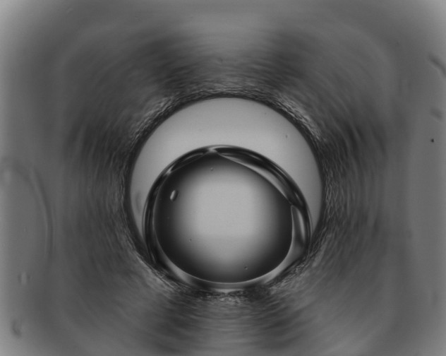 X0000091720593200708311140