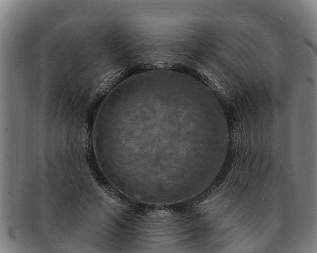 X0000091720594200708311140