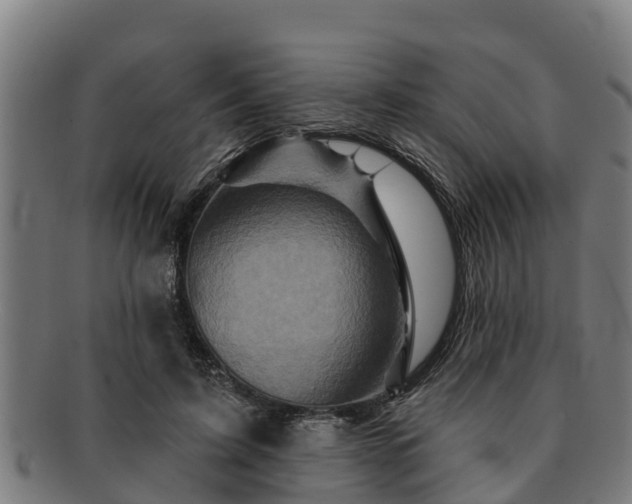 X0000091720595200708311140