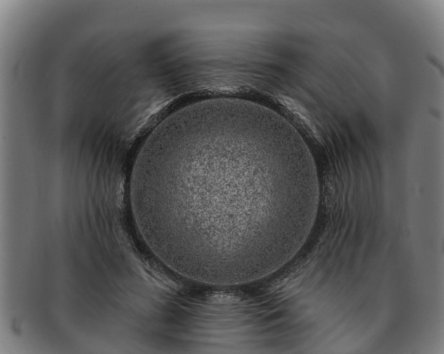 X0000091720596200708311140