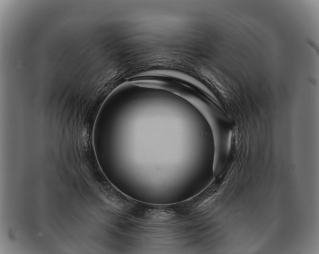 X0000091720597200708311140