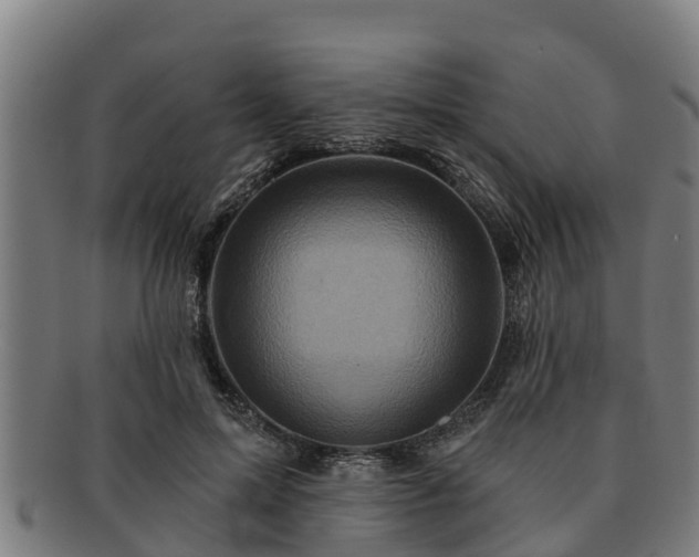 X0000091720599200708311140