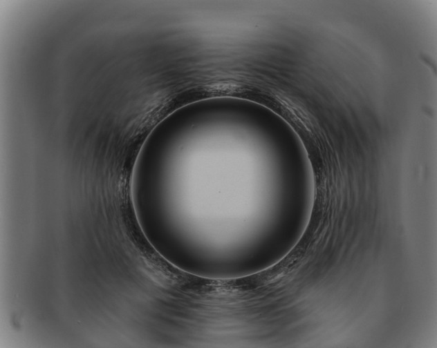 X0000091720601200708311140