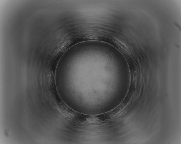 X0000091720603200708311140