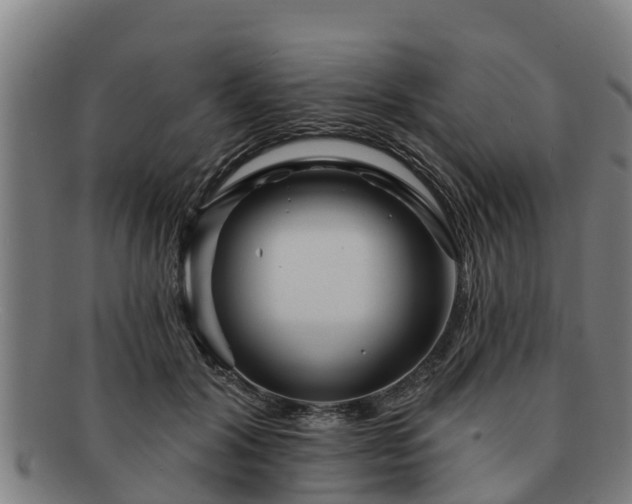 X0000091720604200708311140