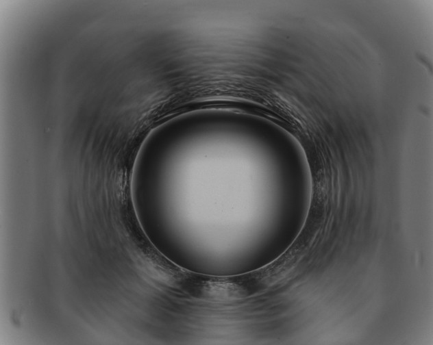 X0000091720605200708311140