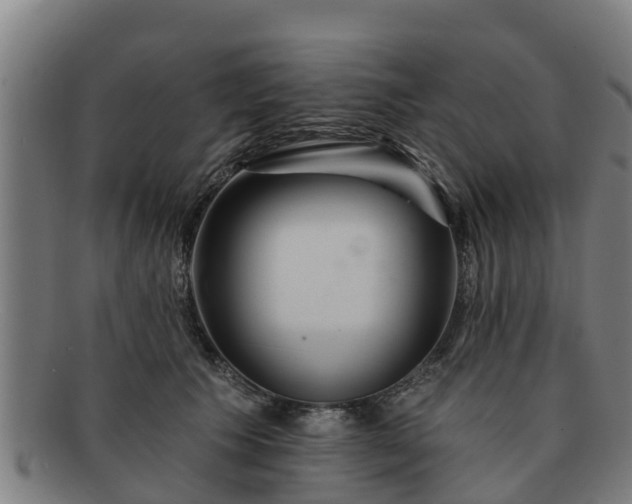 X0000091720609200708311140