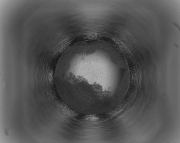 X0000091720610200708311140