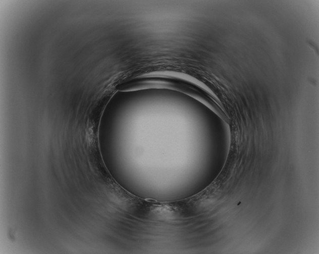 X0000091720611200708311140