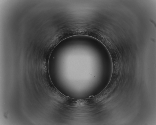 X0000091720612200708311140