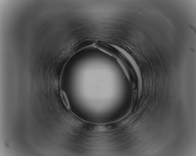 X0000091720613200708311140