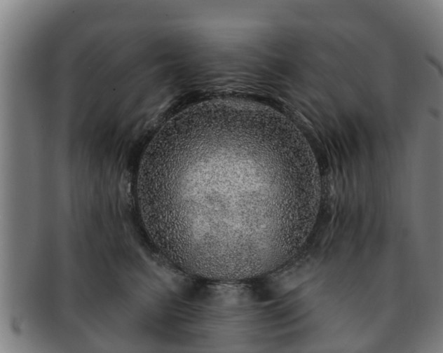 X0000091720615200708311140