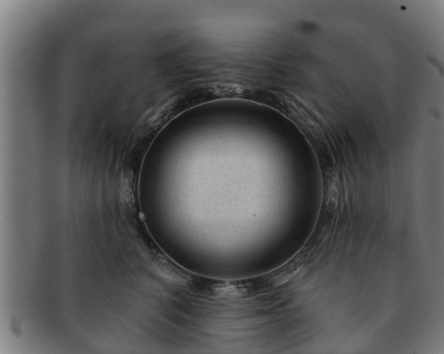 X0000091720616200708311140