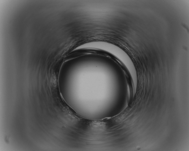 X0000091720617200708311140