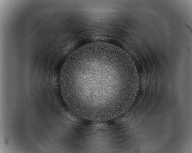 X0000091720619200708311140