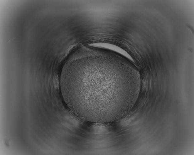 X0000091720620200708311140