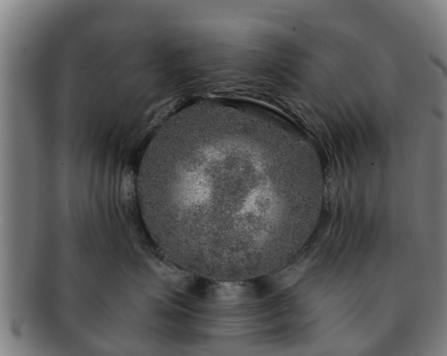 X0000091720623200708311140