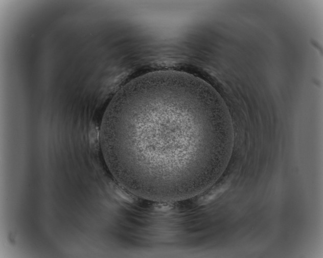 X0000091720624200708311140