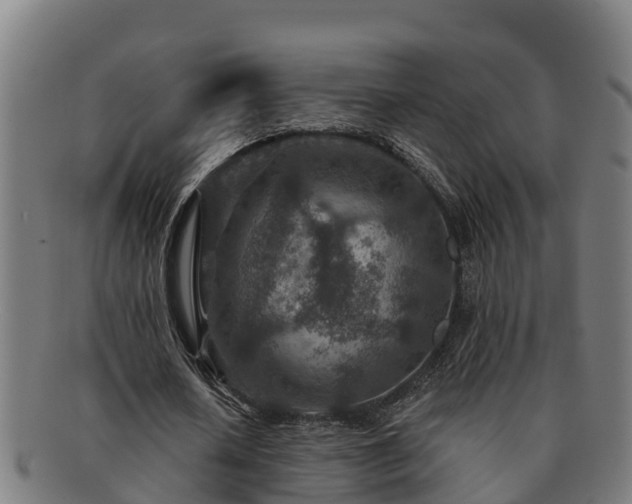 X0000091720626200708311139