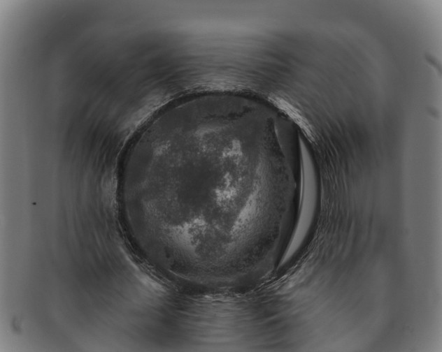 X0000091720627200708311139