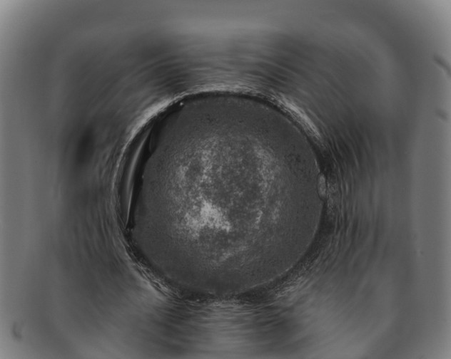 X0000091720628200708311139